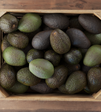 avocados cointaned in a box